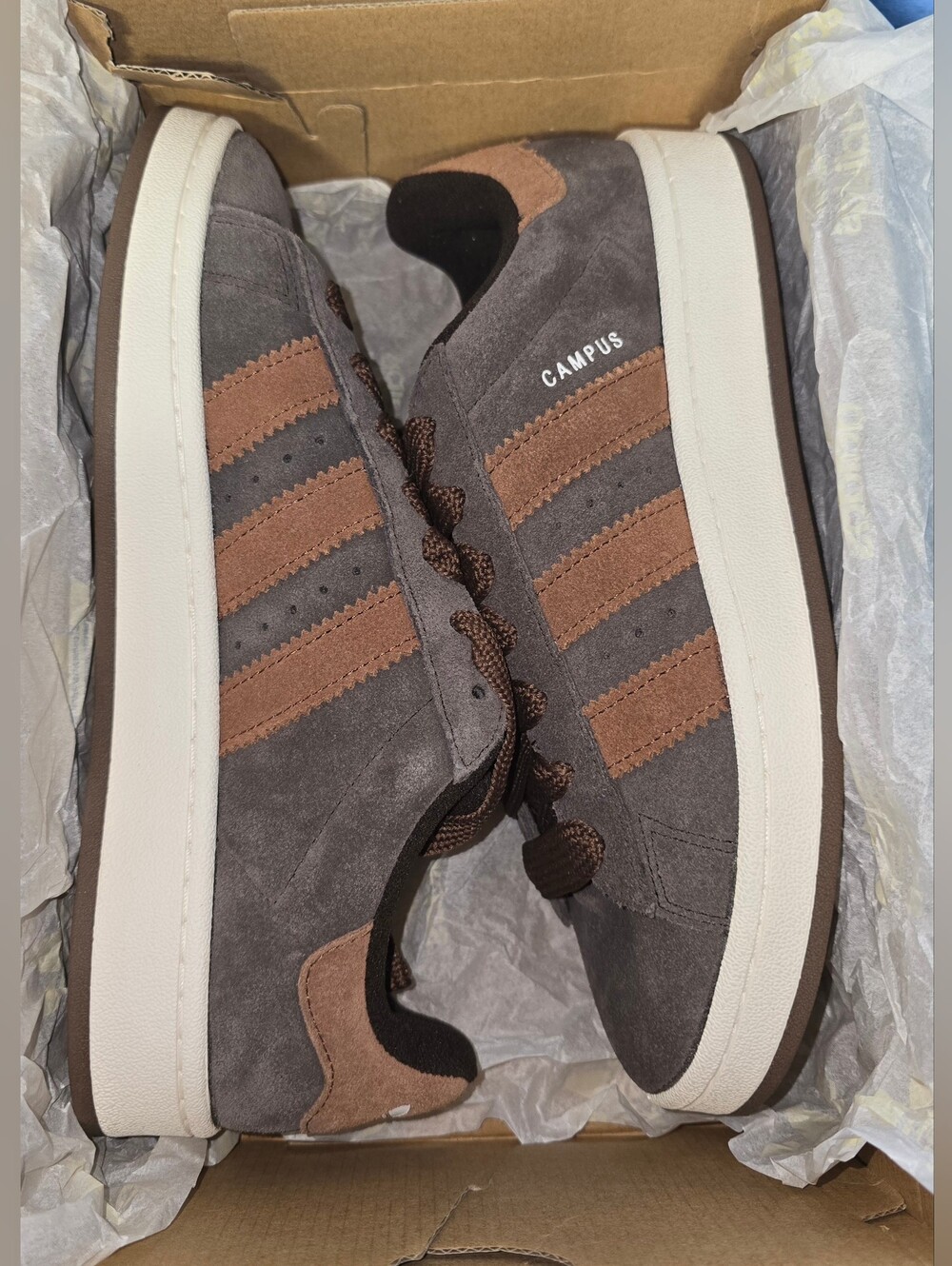 adidas Campus Suede Sneakers in Gray and Brown